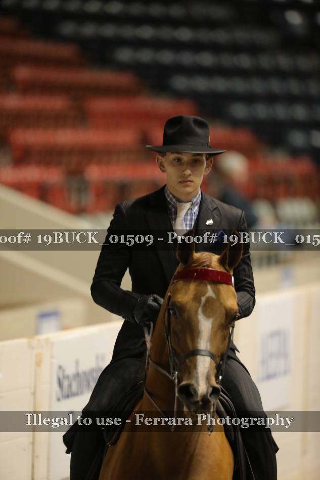 Proof 19BUCK_01509