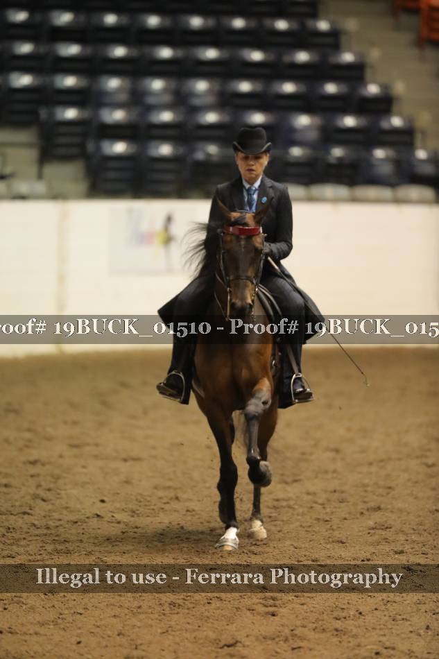 Proof 19BUCK_01510
