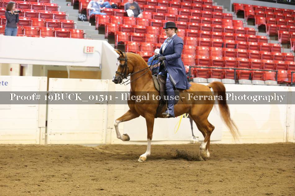 Proof 19BUCK_01511