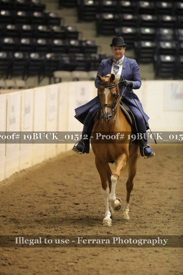 Proof 19BUCK_01512