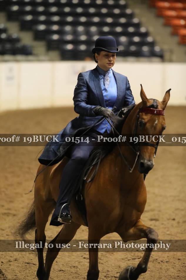 Proof 19BUCK_01514