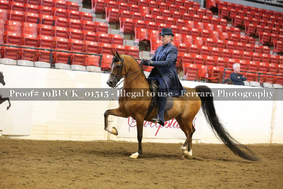 Proof 19BUCK_01515