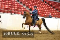 19BUCK_01515 proof