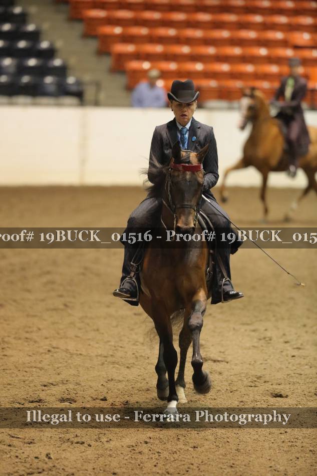 Proof 19BUCK_01516