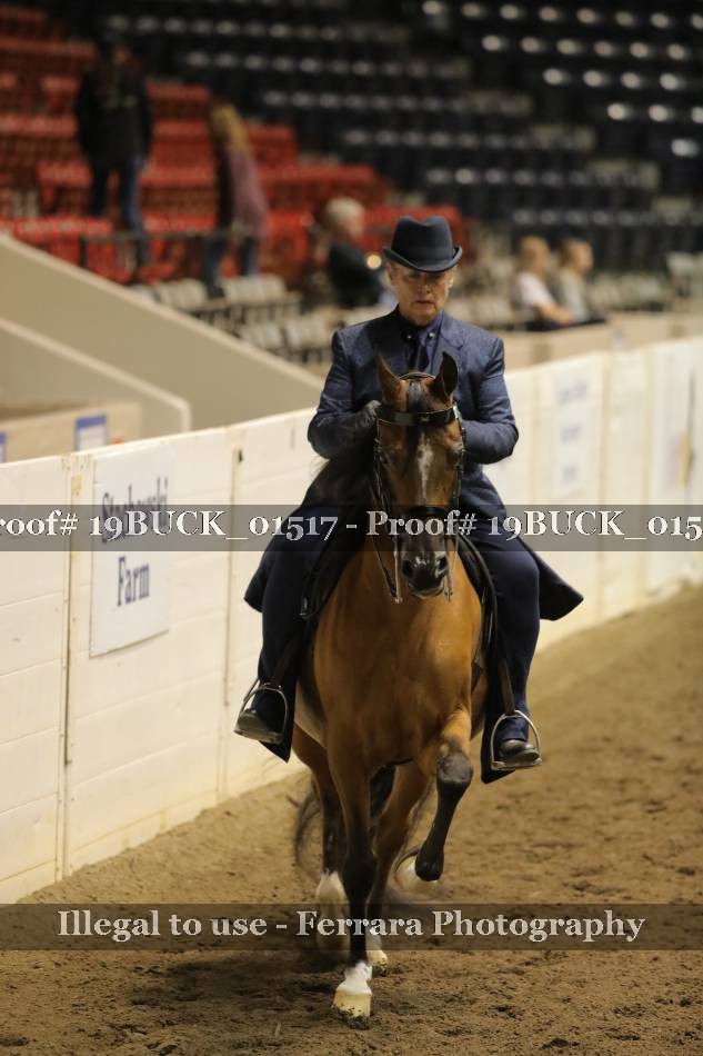 Proof 19BUCK_01517