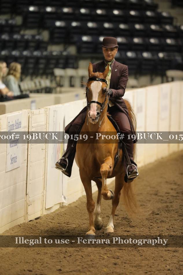 Proof 19BUCK_01519