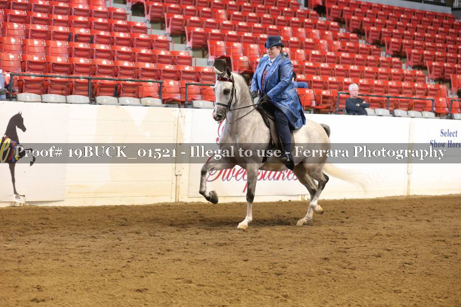 Proof 19BUCK_01521