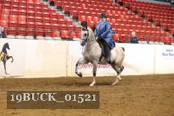 19BUCK_01521 proof