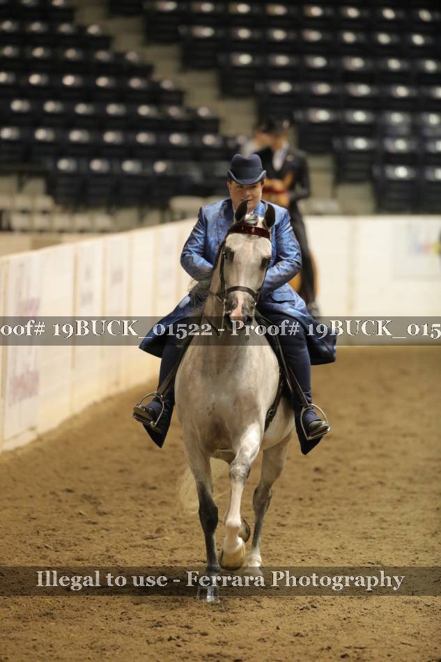 Proof 19BUCK_01522