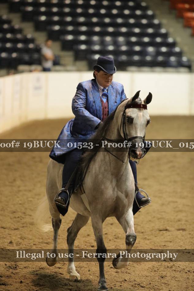 Proof 19BUCK_01523