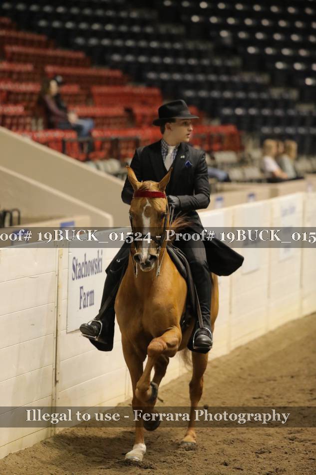 Proof 19BUCK_01524