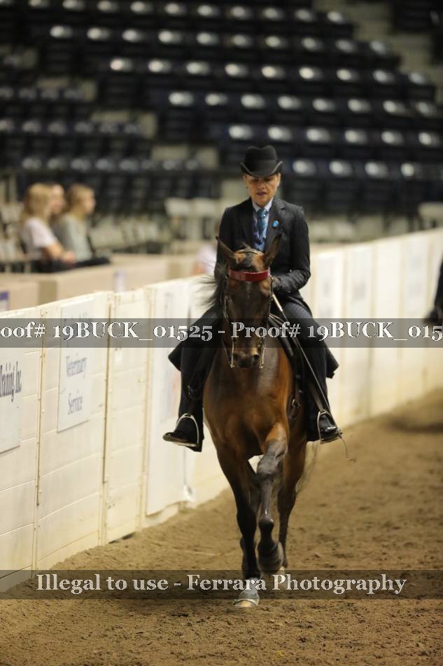 Proof 19BUCK_01525