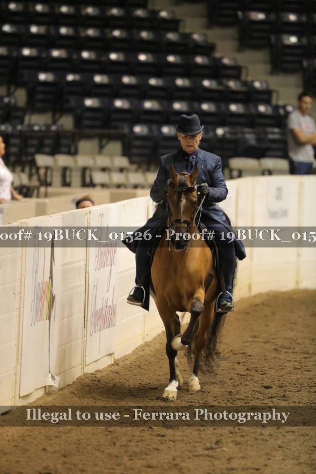 Proof 19BUCK_01526