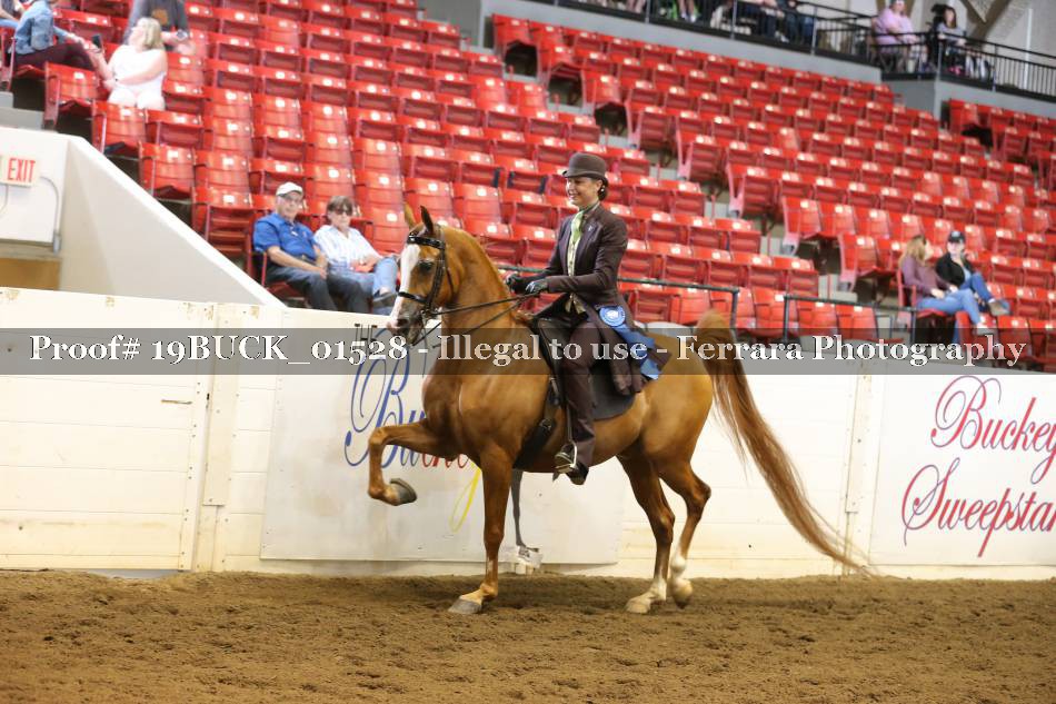 Proof 19BUCK_01528