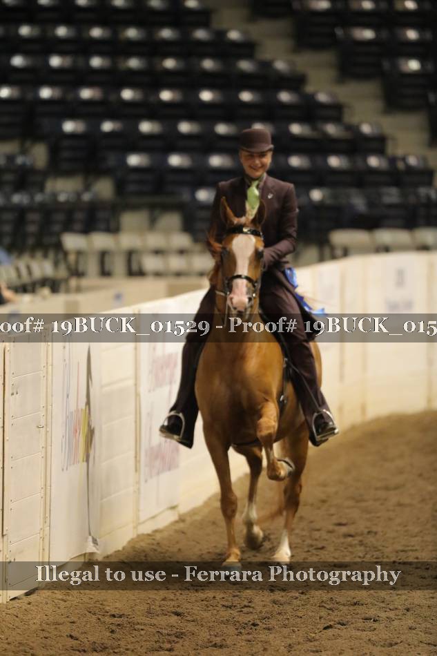 Proof 19BUCK_01529