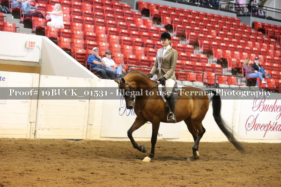 Proof 19BUCK_01531