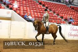 19BUCK_01531 proof