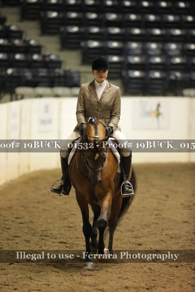Proof 19BUCK_01532