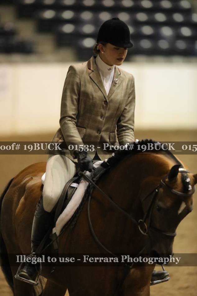 Proof 19BUCK_01533