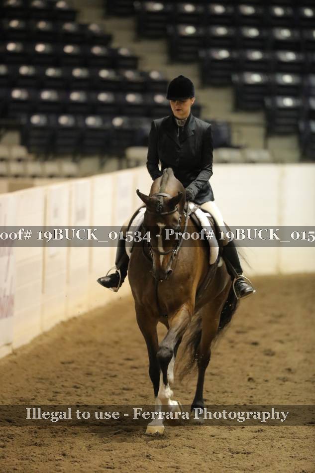 Proof 19BUCK_01534