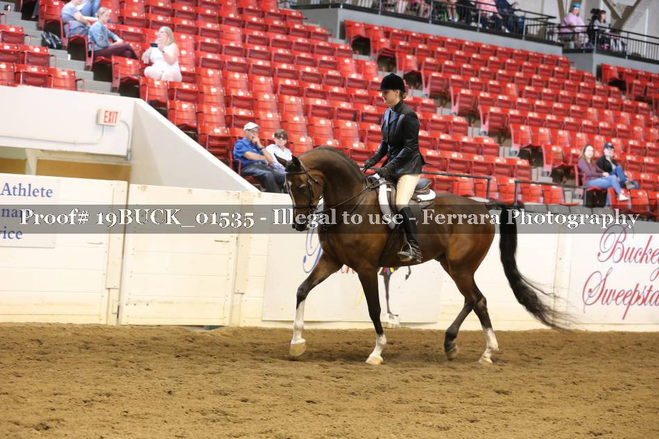 Proof 19BUCK_01535