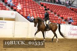 19BUCK_01535 proof