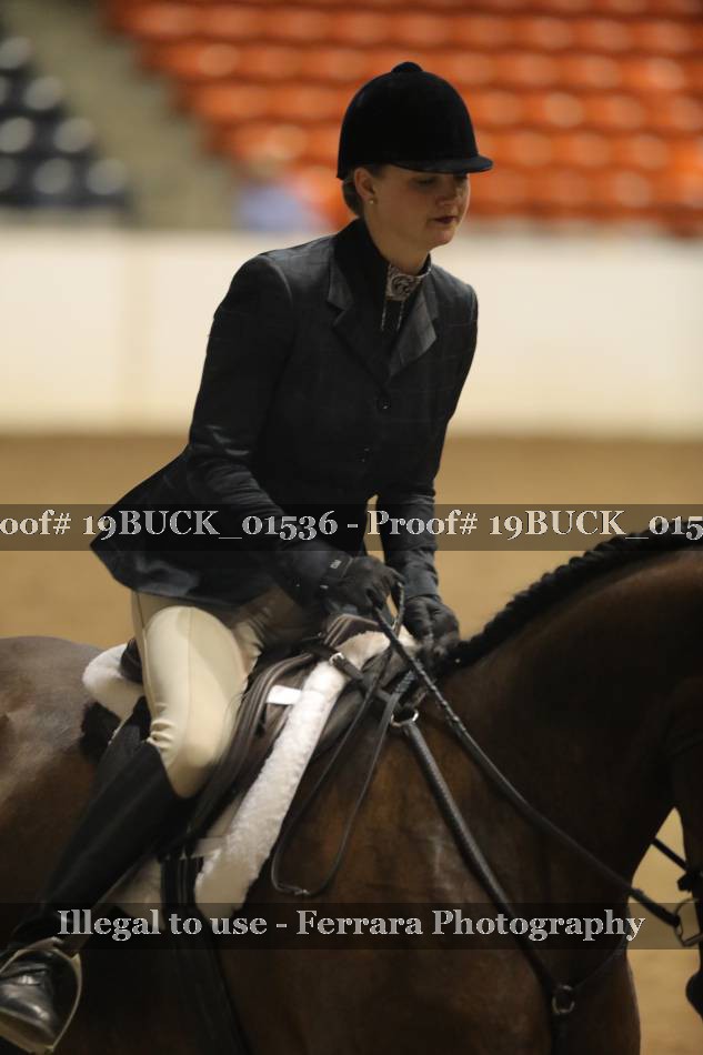 Proof 19BUCK_01536