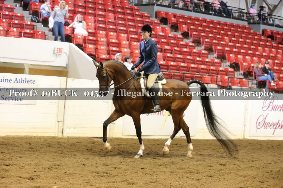 Proof 19BUCK_01537