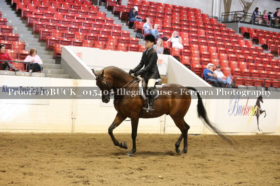 Proof 19BUCK_01540