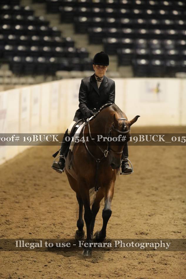 Proof 19BUCK_01541