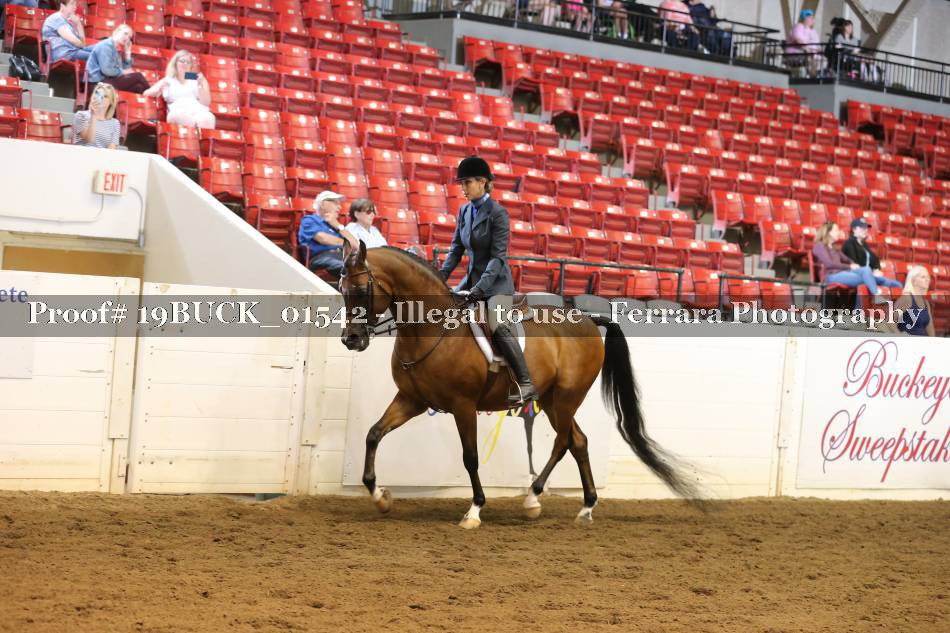 Proof 19BUCK_01542