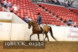 19BUCK_01542 proof