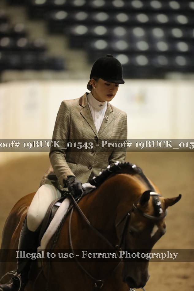 Proof 19BUCK_01543