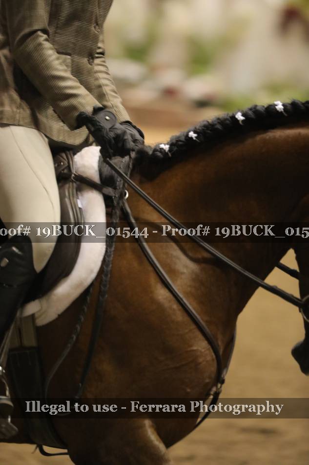 Proof 19BUCK_01544