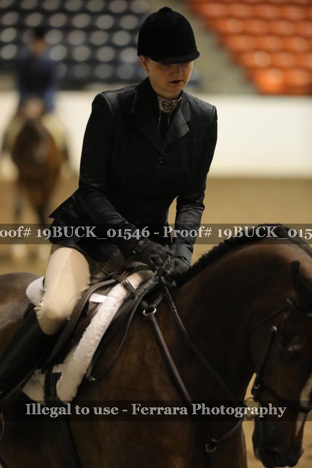 Proof 19BUCK_01546