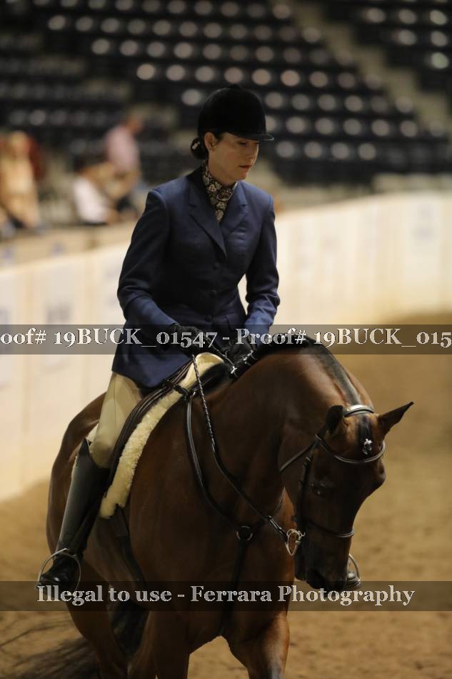 Proof 19BUCK_01547