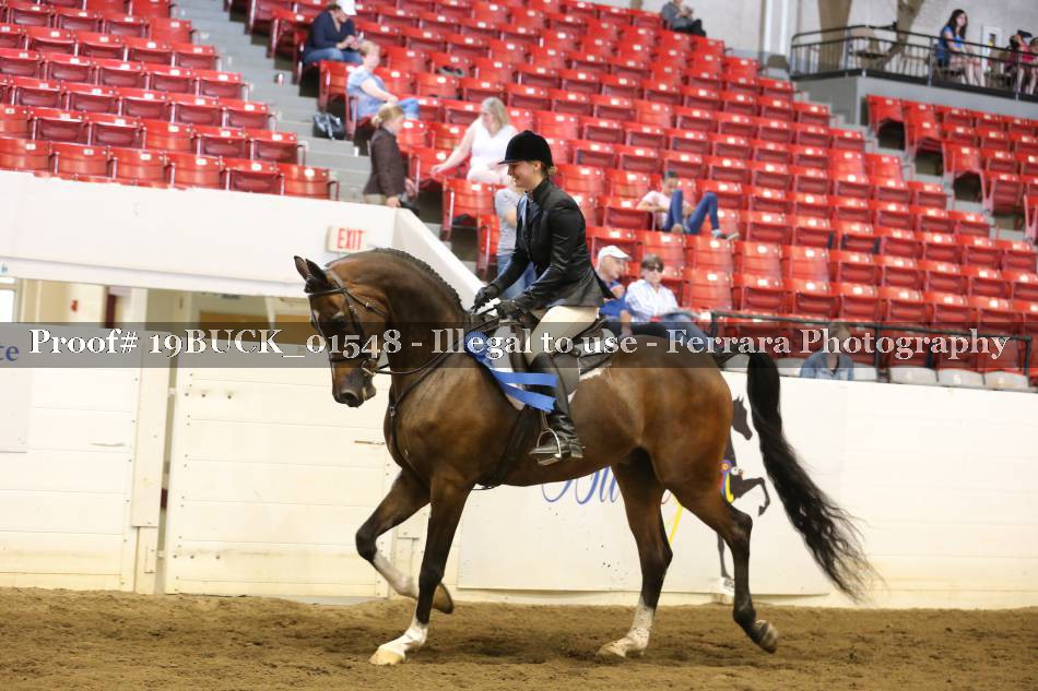 Proof 19BUCK_01548