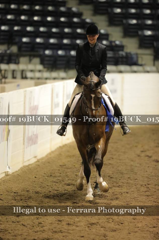 Proof 19BUCK_01549