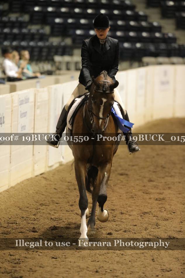 Proof 19BUCK_01550