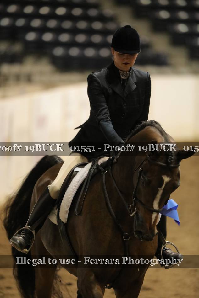 Proof 19BUCK_01551