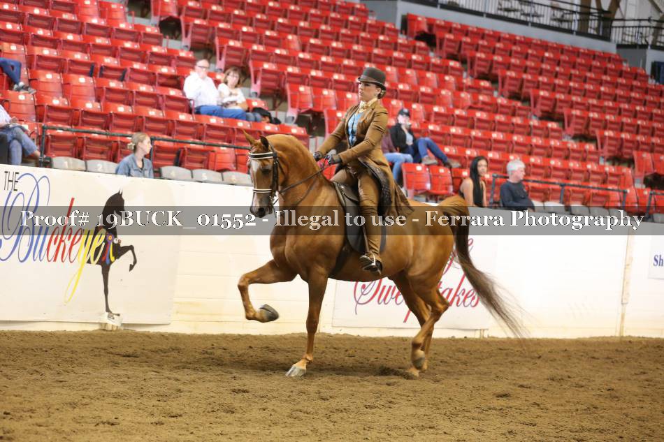 Proof 19BUCK_01552