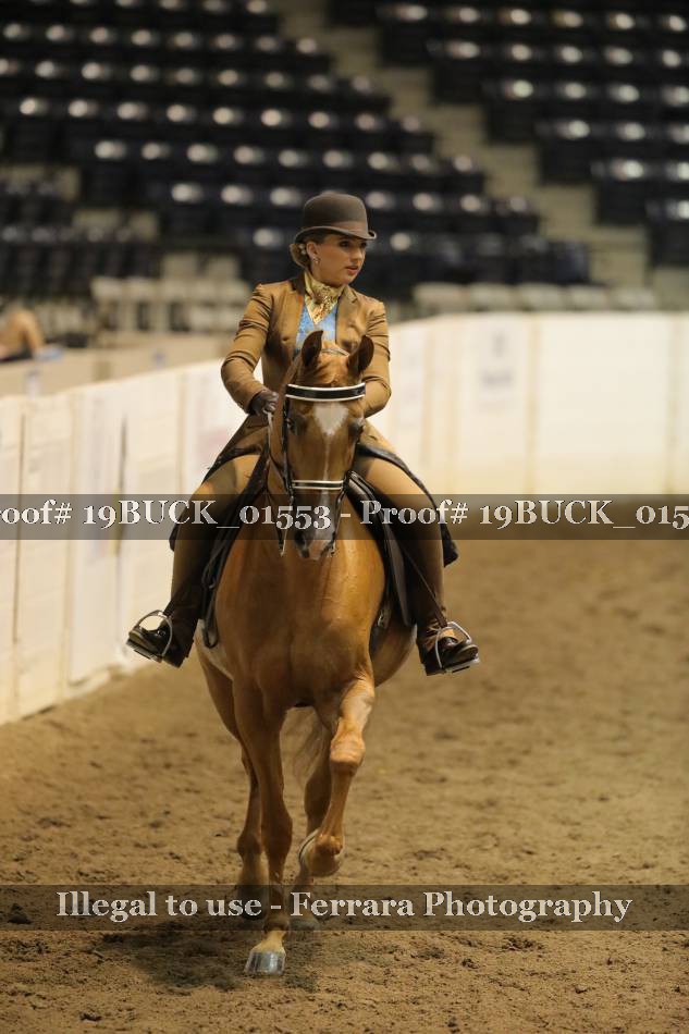 Proof 19BUCK_01553