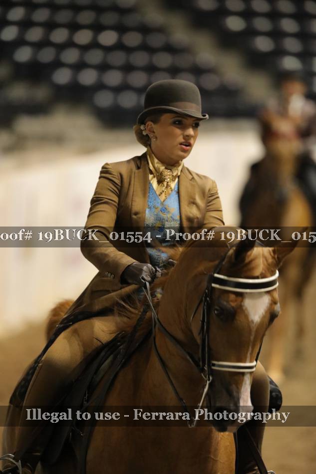 Proof 19BUCK_01554
