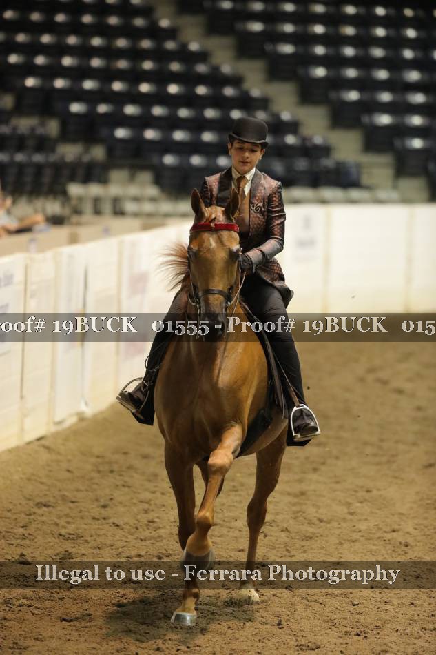 Proof 19BUCK_01555