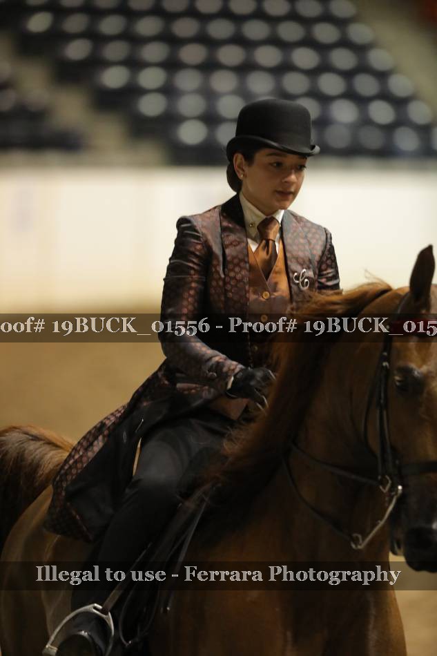 Proof 19BUCK_01556