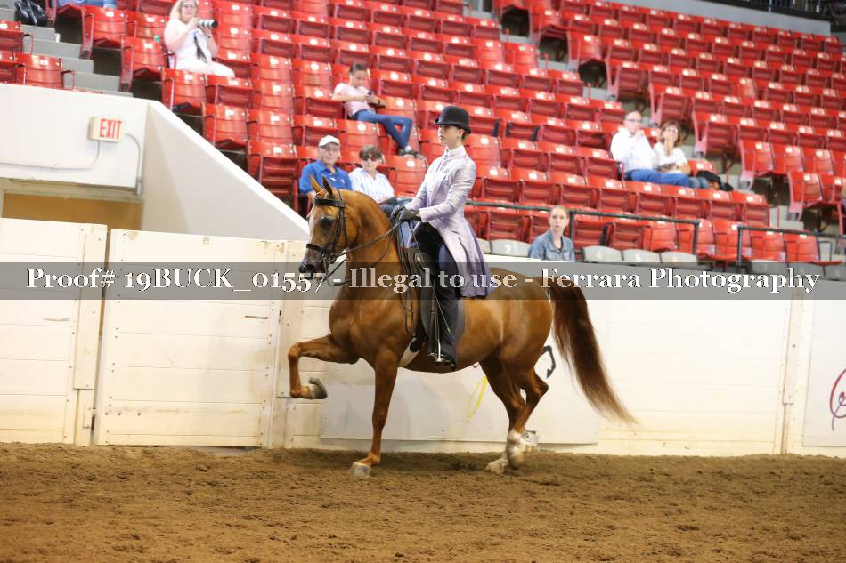 Proof 19BUCK_01557