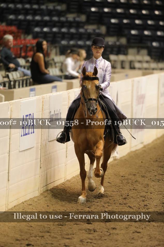 Proof 19BUCK_01558