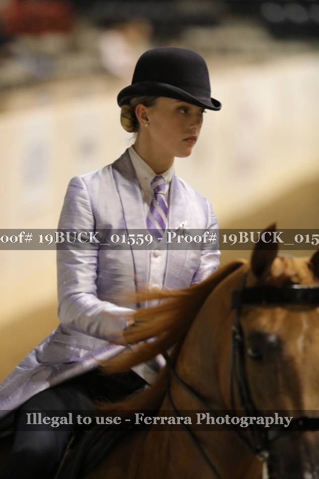 Proof 19BUCK_01559