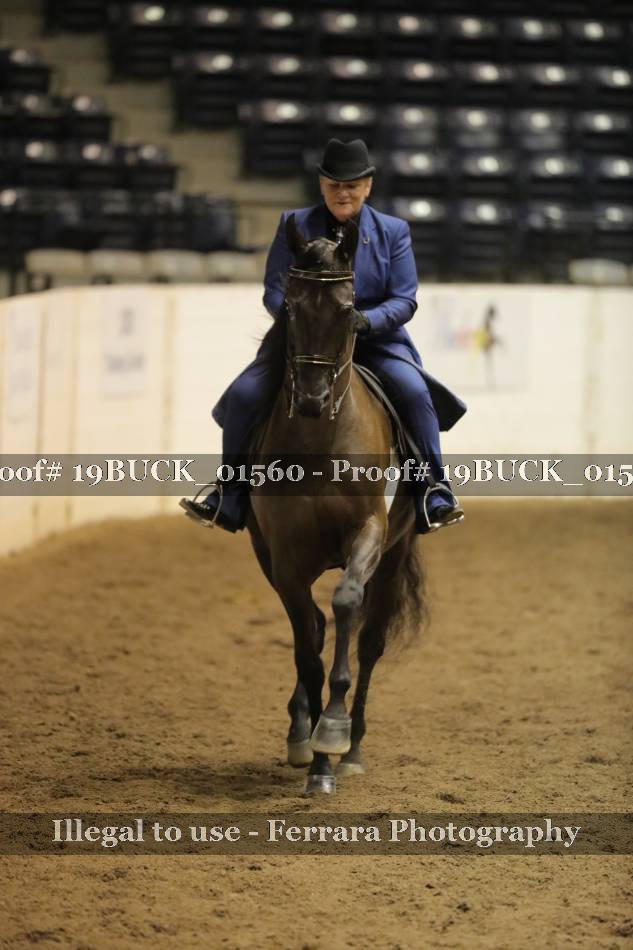 Proof 19BUCK_01560