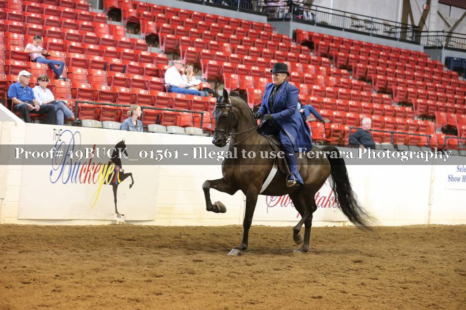 Proof 19BUCK_01561